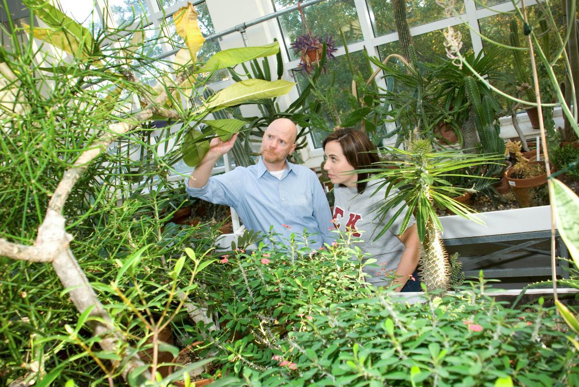 Longwood Greenhouse