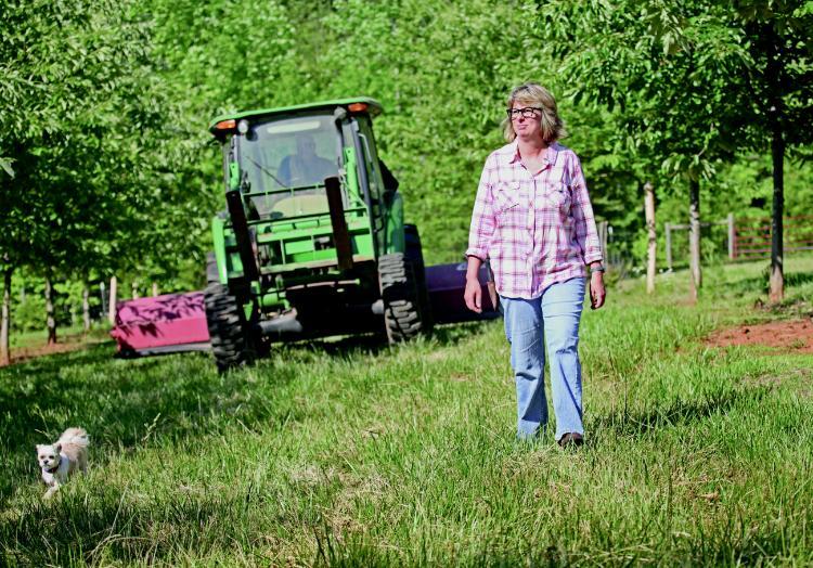 Helping to resurrect the American chestnut is a labor of love for Kim Evoy Bryant ’86, who runs an orchard of blight-resistant trees in Nelson County with her husband. Their company, Virginia Chestnuts, sells nuts to restaurants and grocery stores in Charlottesville, Richmond, Fredericksburg and Washington, D.C.