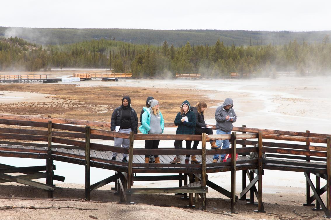 Yellowstone National Park Brock Experience